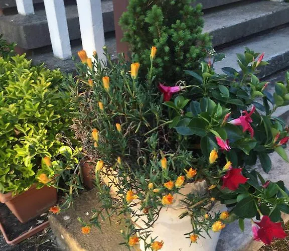 Gospodarstwo agroturystyczne Dei Gelsi