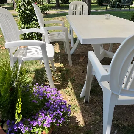Dei Gelsi Alloggio per agriturismo Cotignola