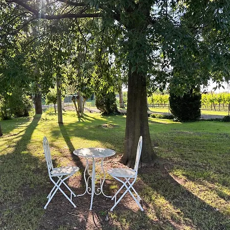Agriturismo Dei Gelsi Фермерский дом