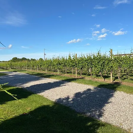 Agriturismo Dei Gelsi
