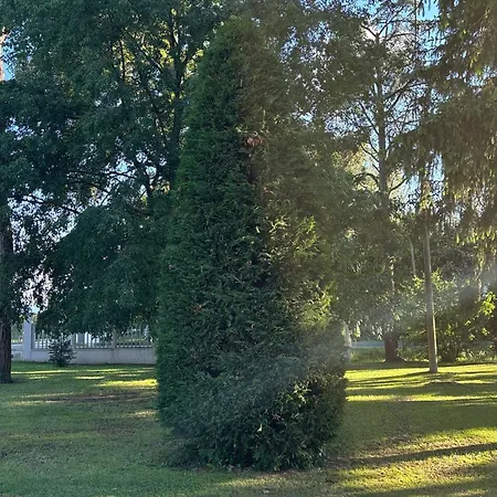 Agriturismo Dei Gelsi