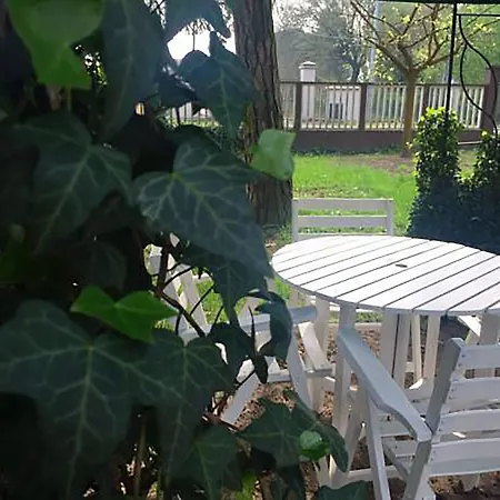 Dei Gelsi Alloggio per agriturismo Cotignola