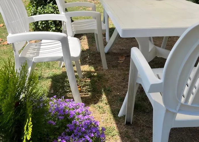 Dei Gelsi Çiftlik konaklama Cotignola